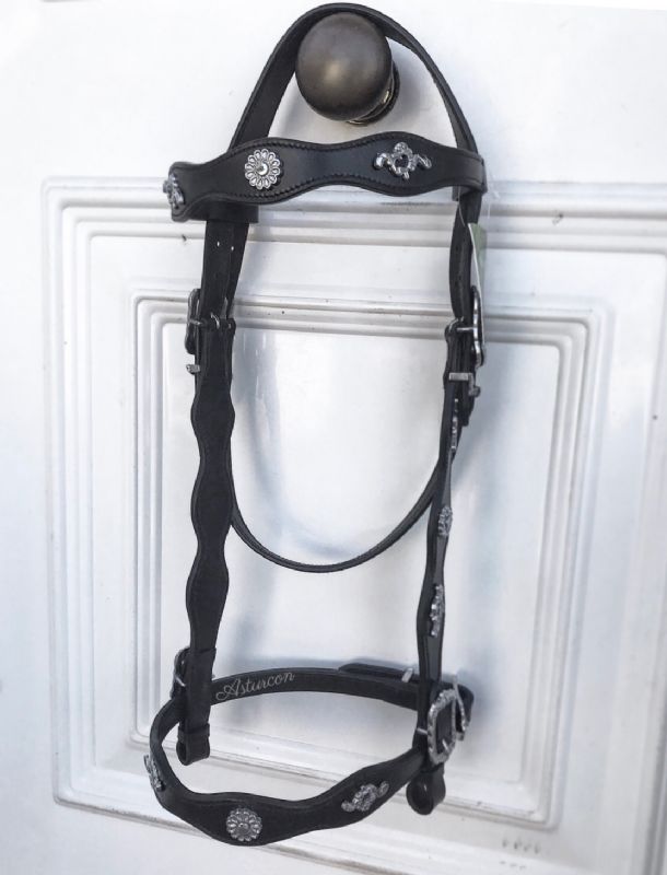 Palpatine Portuguese Bridle